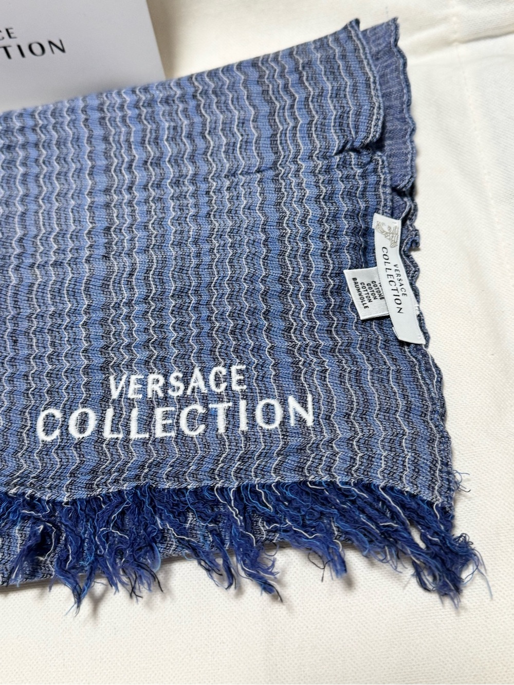 Versace Collection Light and Navy Blue Woven Scarf